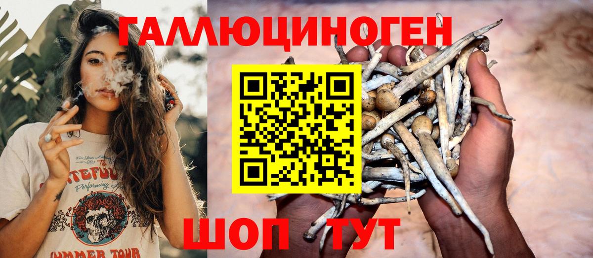Псилоцибиновые грибы Psilocybine cubensis  наркотики  Алейск  Вход с VPN  Псилоцибиновые грибы прущие грибы 